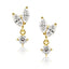 Bella Cz Stud