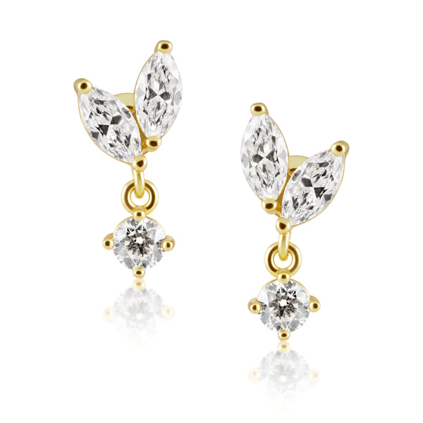 Bella Cz Stud