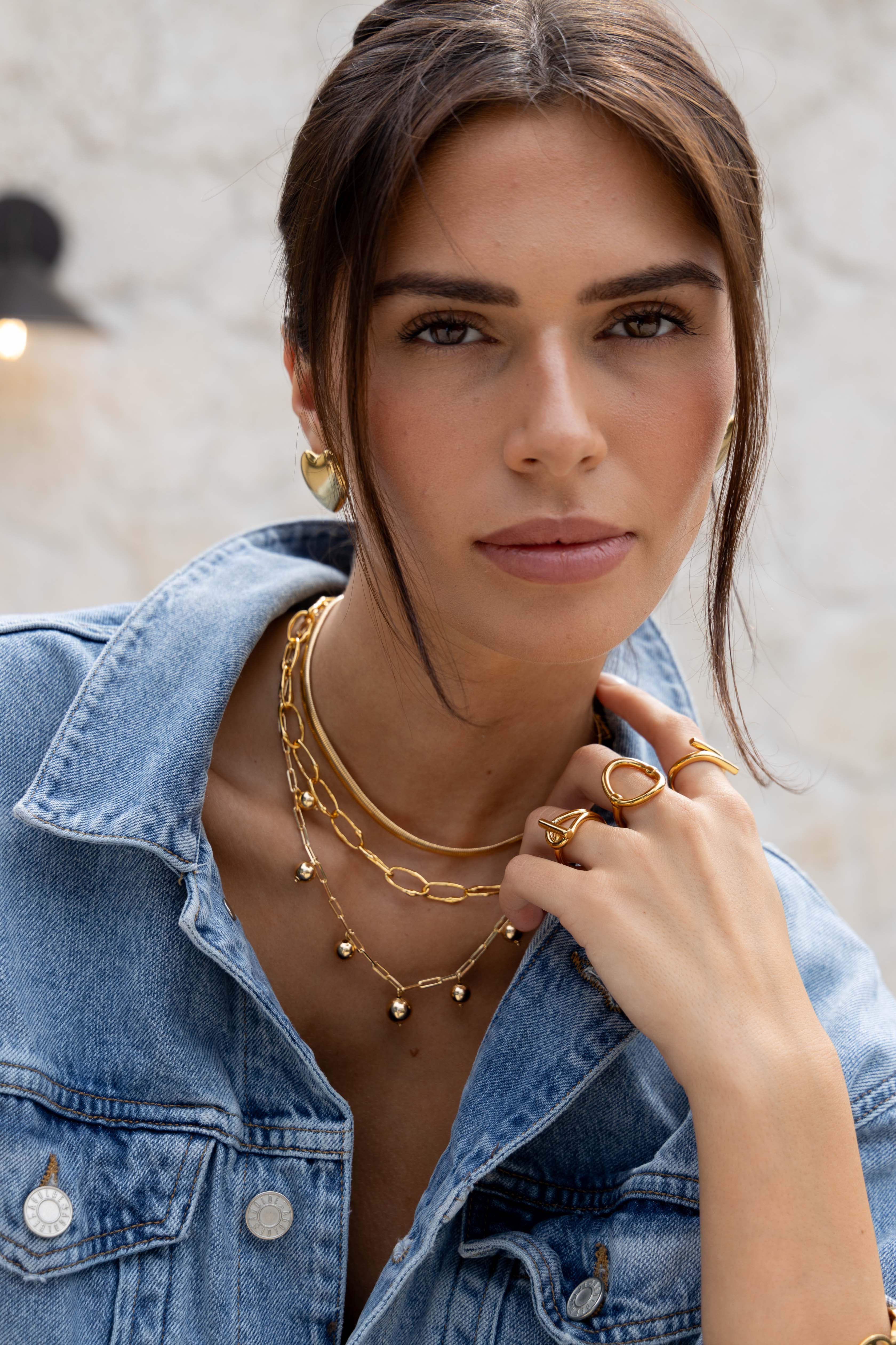 Bentley Link Necklace Secondary image