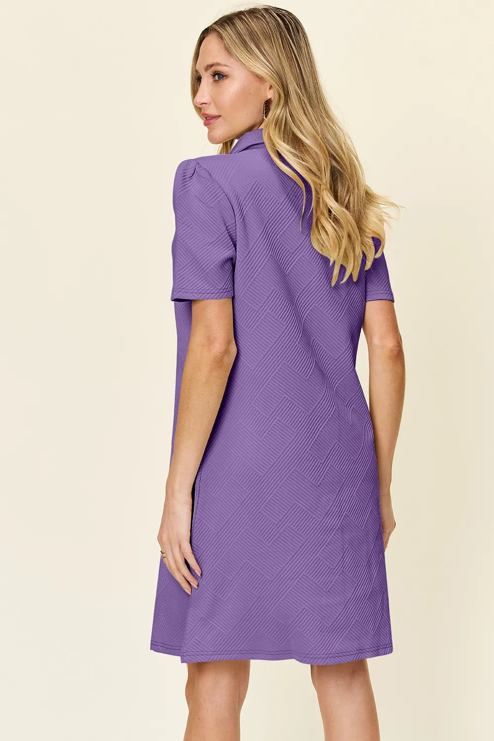 Double Take Texture Collared Neck Short Sleeve Dress - product image 6