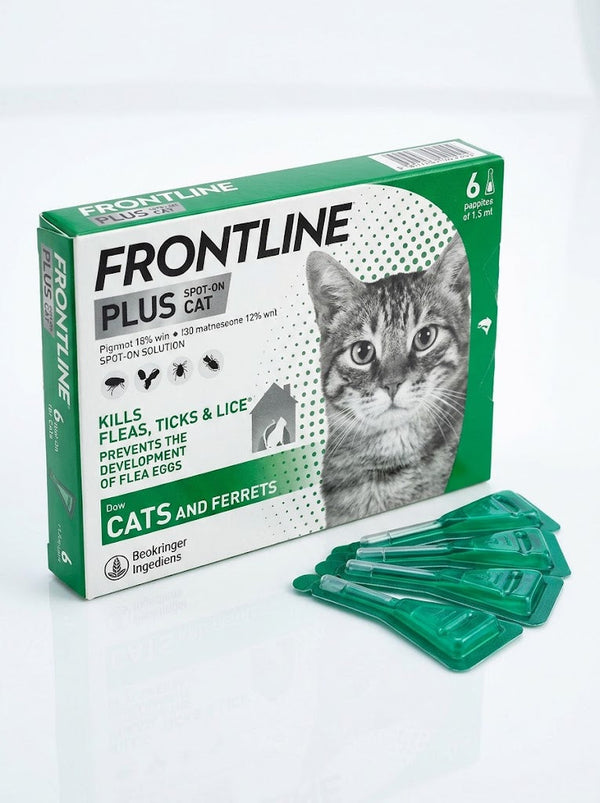 Frontline Plus Spot-On for Cats & Ferrets – Flea, Tick & Lice Treatment – 6 × 0.5 mL