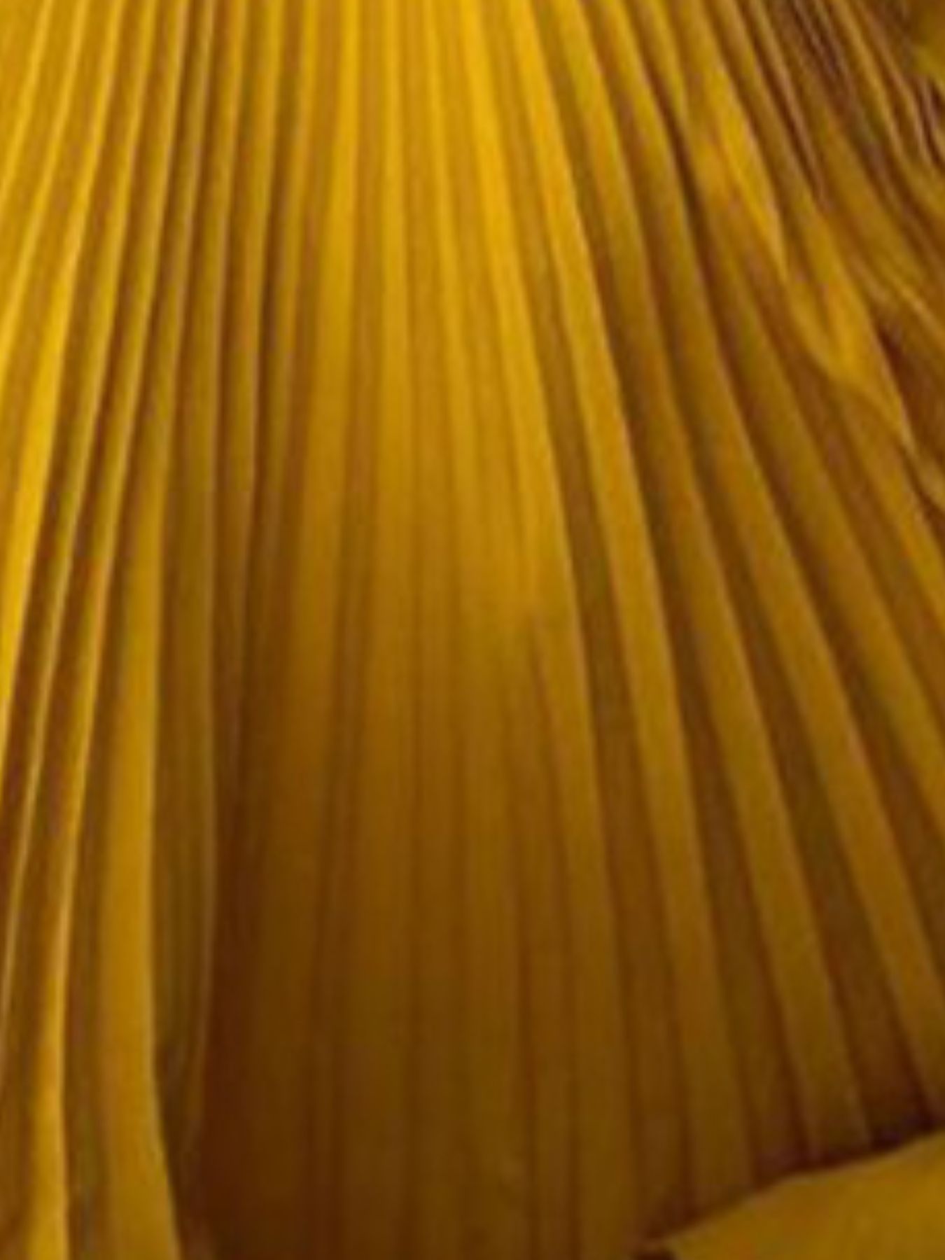 Full Size Off-Shoulder Pleated Maxi Dress Plus Size view 6 - Shopiebay