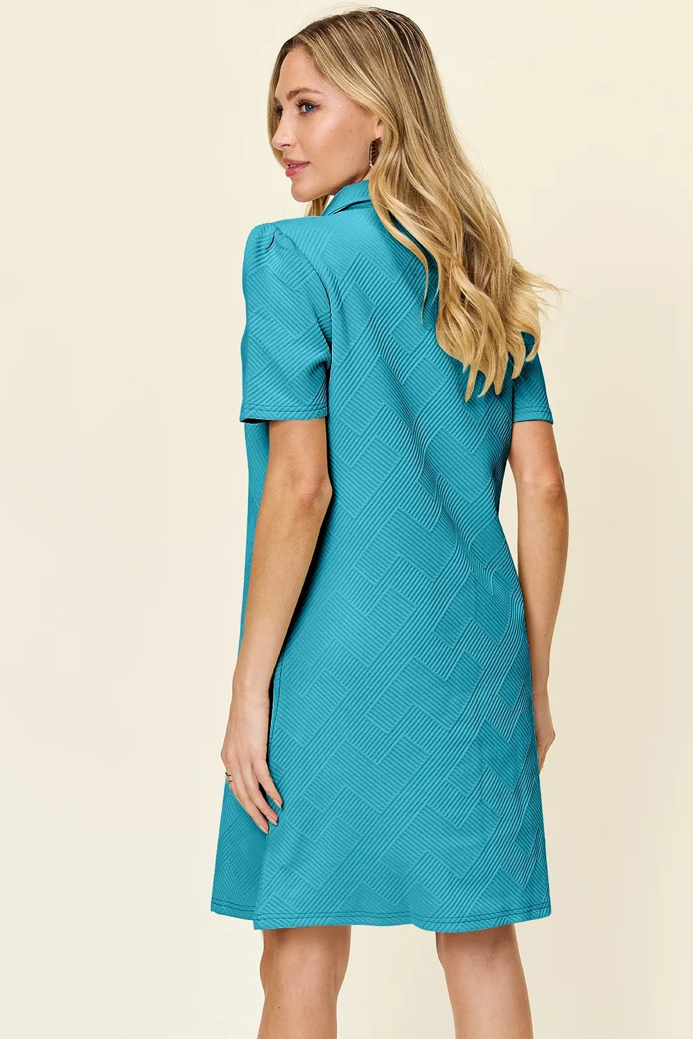 Double Take Texture Collared Neck Short Sleeve Dress - product image 24