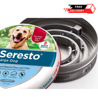 Seresto Flea & Tick Collar for Large Dogs Over 18 lbs – 8-Month Protection – Elanco