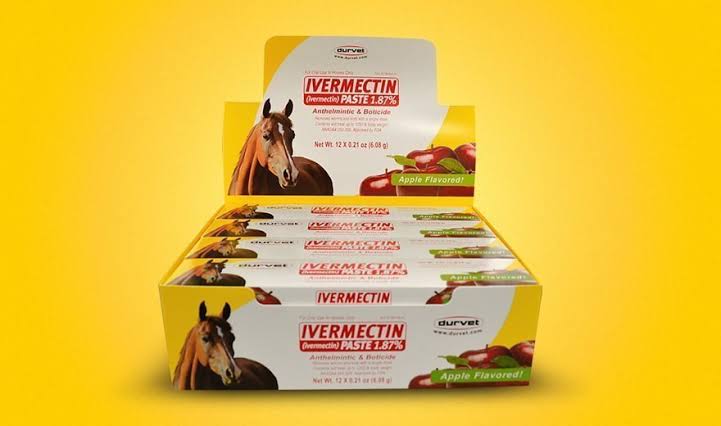 Durvet Ivermectin Paste 1.87% Horse Dewormer – Apple, 6.08 g