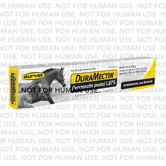 Durvet Ivermectin Paste 1.87% Horse Dewormer – Apple, 6.08 g