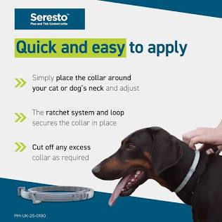 Seresto Flea & Tick Collar for Large Dogs Over 18 lbs – 8-Month Protection – Elanco