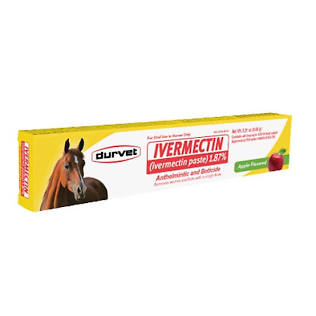 Durvet Ivermectin Paste 1.87% Horse Dewormer – Apple, 6.08 g