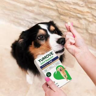 YuMOVE Joint Care Max Strength for Senior Dogs – Joint Support Supplement – 120 Tasty Tablets
