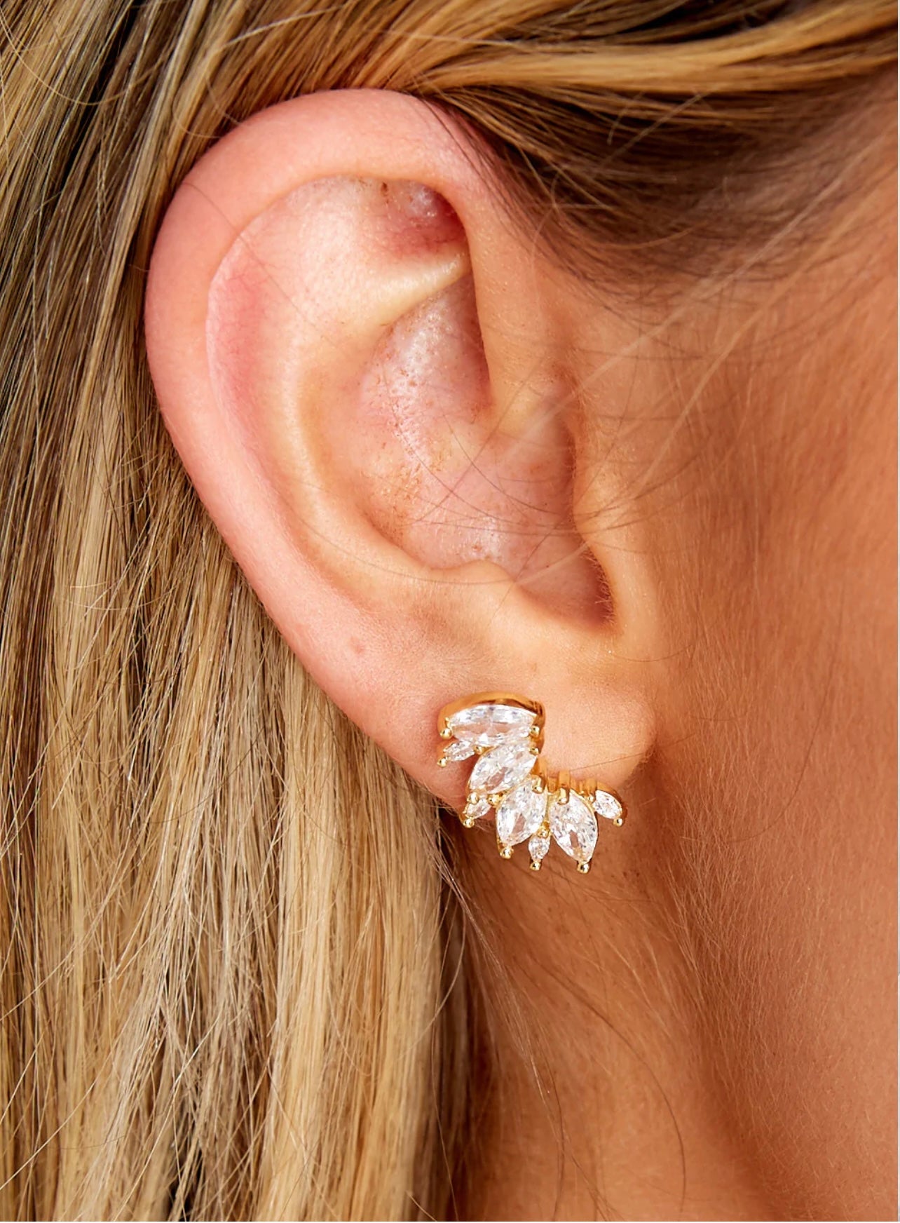 Marley Ear Crawler Secondary image